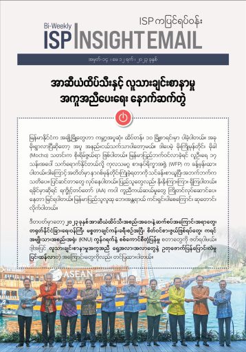 Insight Email - 14 Burmese Version